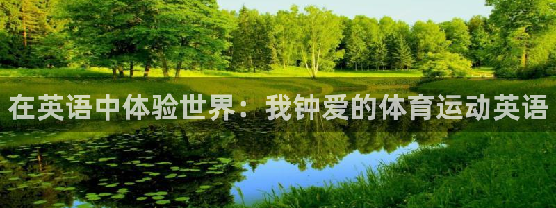雨燕体育