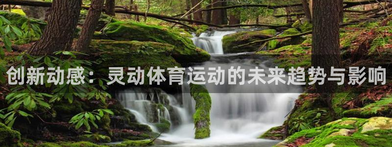 光速体育雨燕