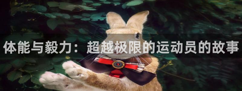 雨燕nba直播：体能与毅力：超越极限的运动员的故事