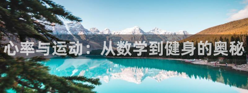 雨燕nba直播免费高清在线：心率与运动：从数学到健身的奥秘
