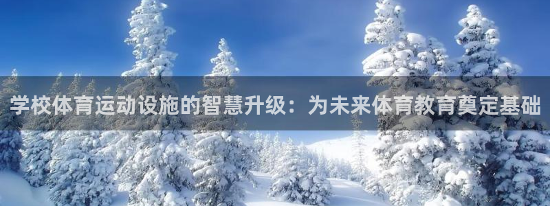 雨燕unit键干嘛的：学校体育运动设施的智慧升级：为未来体育教育奠定基础
