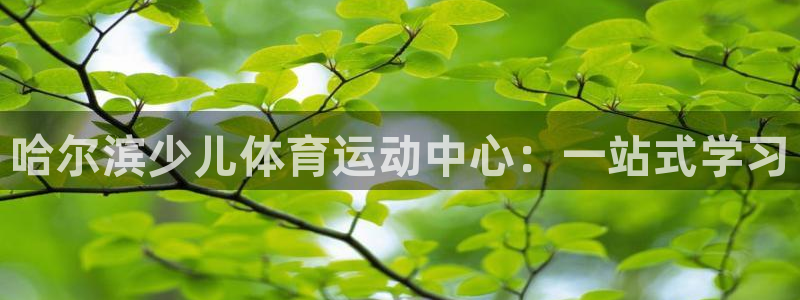 蜘蛛体育和雨燕直播对比：哈尔滨少儿体育运动中心：一站式学习