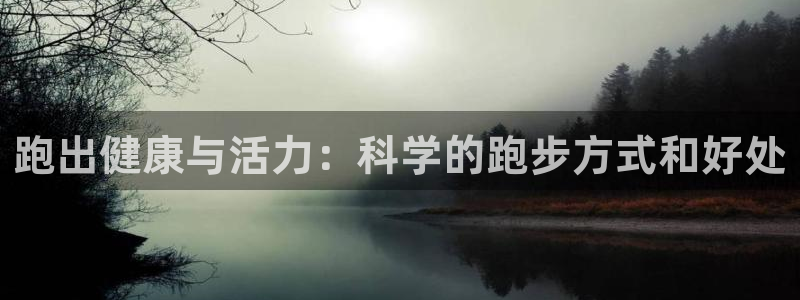 雨燕nba直播