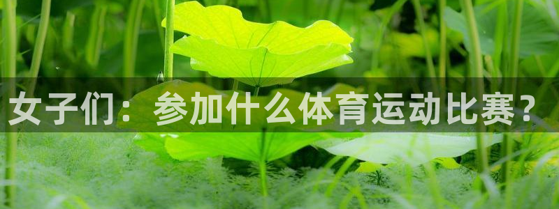 雨燕360体育nba季前赛：女子们：参加什么体育运动比赛？